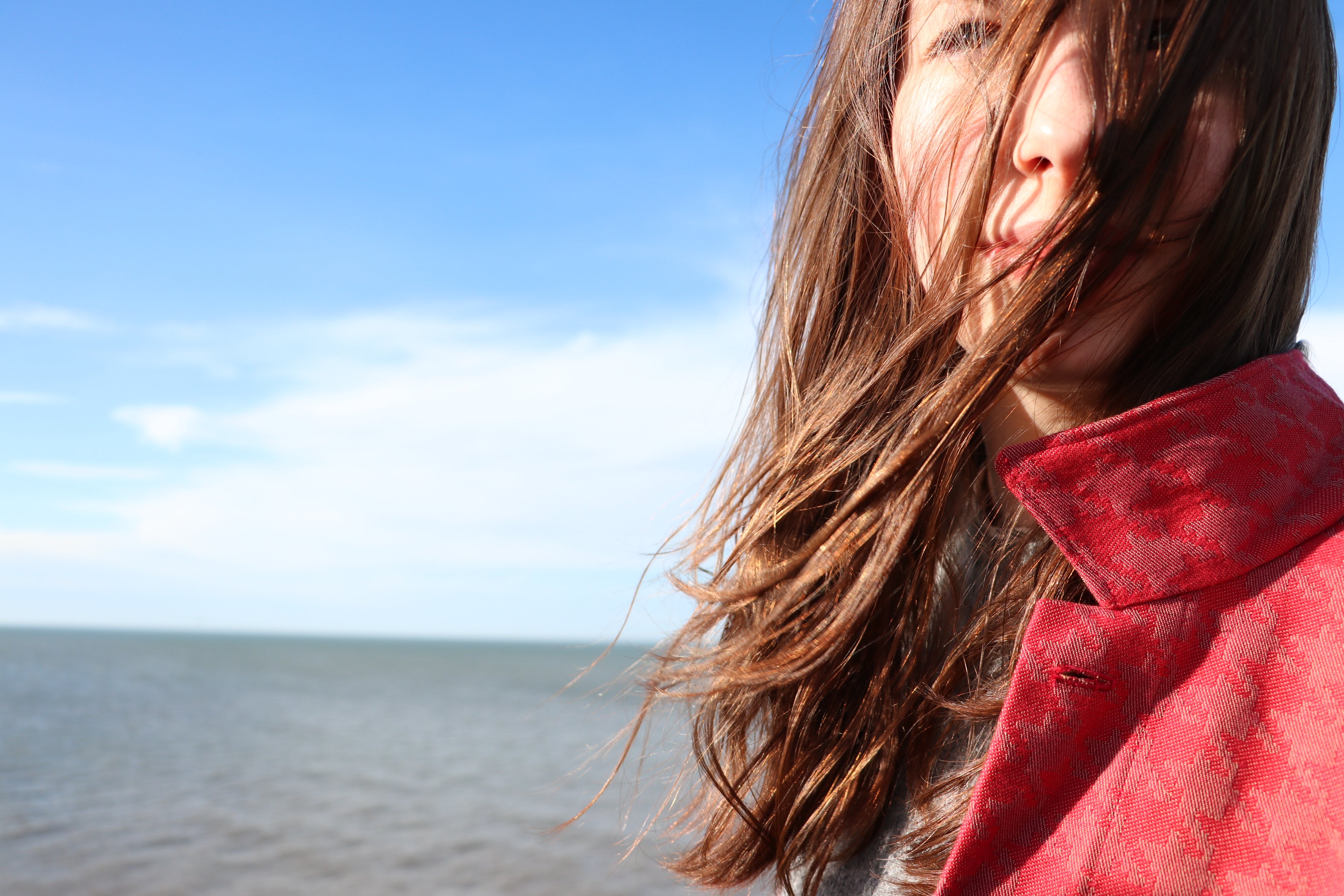 Norfolk Work Jacket Crimson