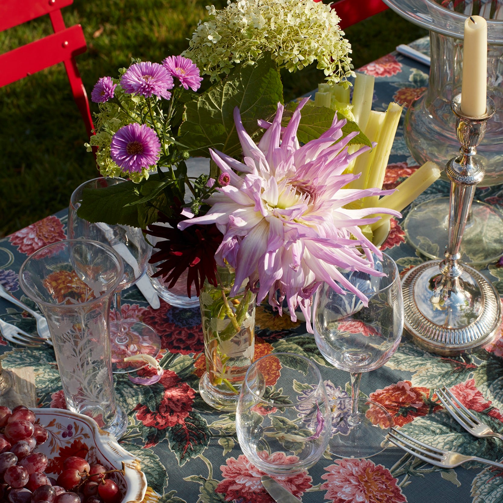 Dahlias Jura Blue