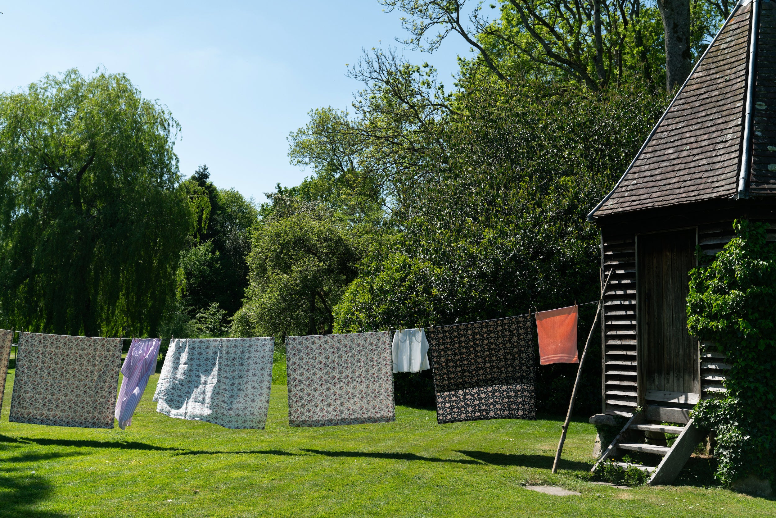 West House Trellis Warmer Backcloth